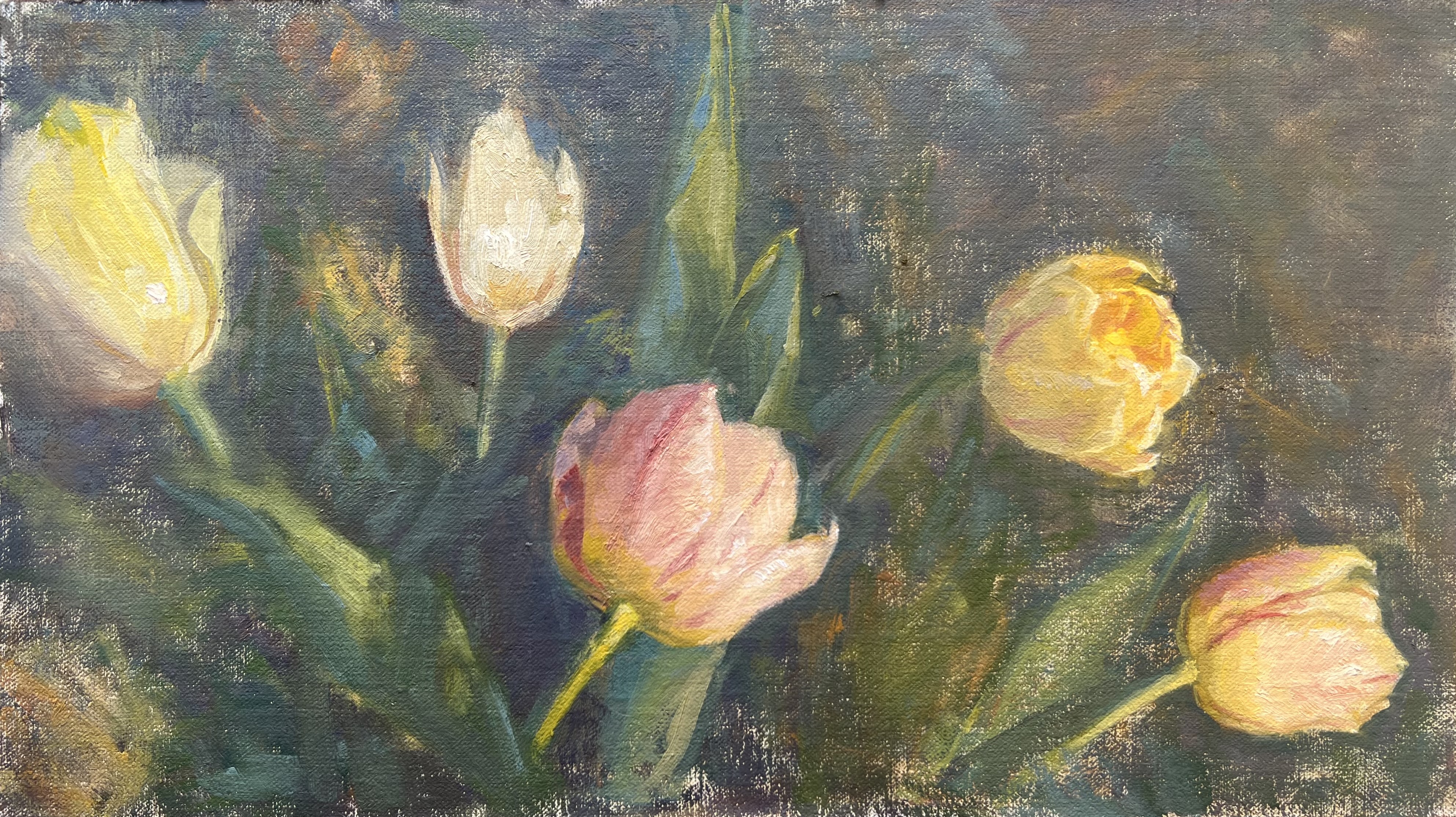 Tulips, oil on linen, 9 × 16 inches